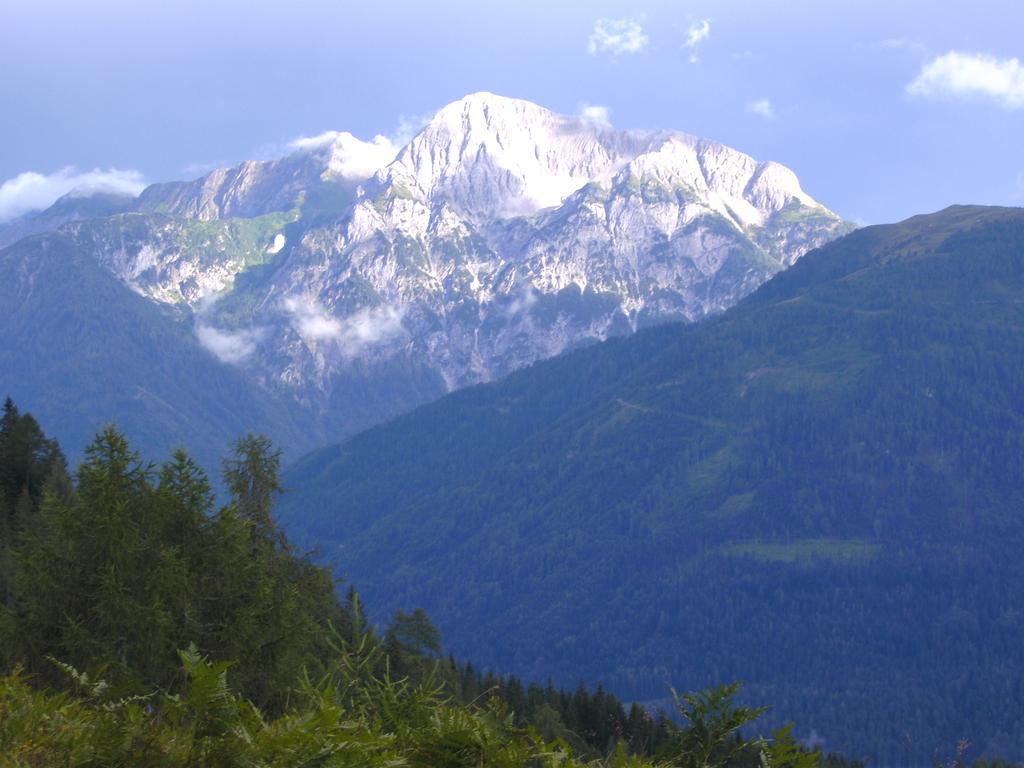 Gasthof Zum Loewen Sankt Jakob im Lesachtal Экстерьер фото
