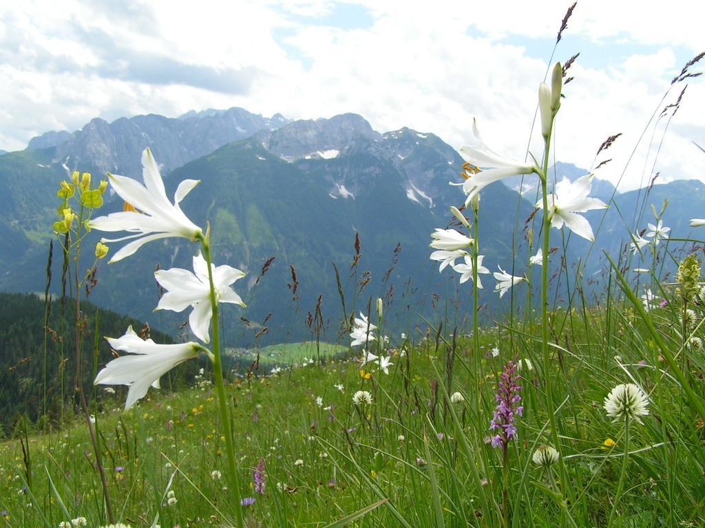 Gasthof Zum Loewen Sankt Jakob im Lesachtal Экстерьер фото