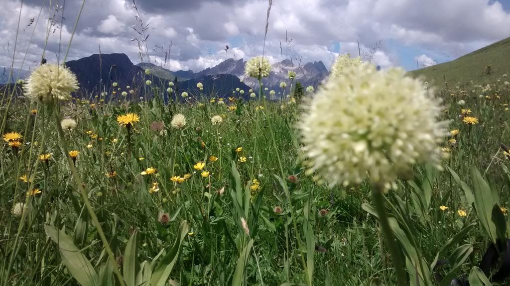 Gasthof Zum Loewen Sankt Jakob im Lesachtal Экстерьер фото